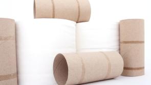 Man ordered to pay €1,000 for breaking €20 toilet seat in Kildare