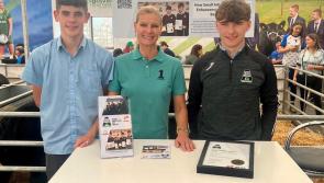 Four Offaly students bring home the beef at Ploughing '24