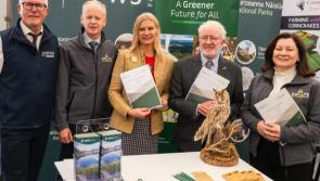 Endangered Hen Harrier will benefit from new agreement