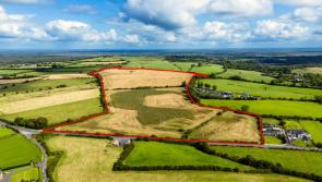 Sizeable plot of agricultural land in ideal Offaly location hits the market