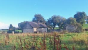 Public auction of superb 143 acre Offaly farm this Friday