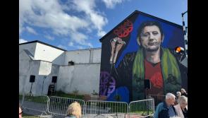 Second Shane MacGowan music festival to be held in Kilbarron in September