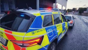 Gardaí seize car in Roscrea for several serious offences