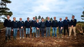 Two Offaly Lions Clubs undertake major bog conservation project
