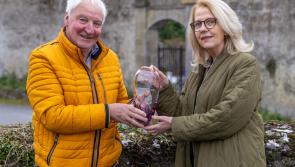 Offaly man to receive 2024 Heritage Hero award next weekend