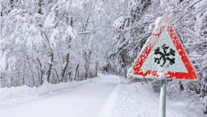 ALERT: Met Eireann in  snow warning for Ireland as temperatures set to in plummet in Arctic blast