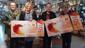 QUIDS shopping vouchers 'can be used just like money' in Offaly town
