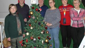Development Association in Offaly village hold first Christmas Market 