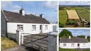 PROPERTY: Fixer-upper cottage on spacious site in Offaly countryside on the market for €125k