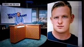 WANTED : Gardaí issue TV appeal for wanted Offaly man