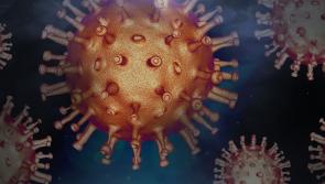 ALERT: Illness warning as almost 1,000 people hospitalised in surge in Ireland over Christmas