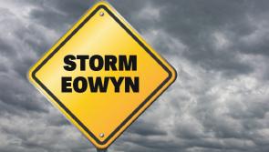 Storm Eowyn to shut down Offaly as Met Eireann issues Red Warning and warns of danger to life