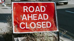 LIVE: Two major roads in Offaly closed due to fallen trees after Storm Eowyn