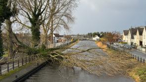 STORM EOWYN: ESB dealing with an unprecedented number of faults on the network in Offaly