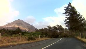 RTÉ set to release new documentary on impact of Storm Éowyn 