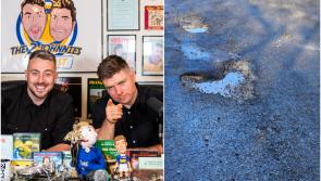 2 Johnnies name road in Offaly as one of the worst in Ireland