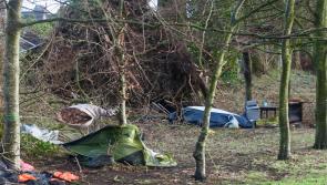 Scammers exploiting Storm Éowyn damage in Offaly warns local TD