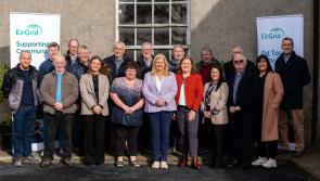 Offaly community groups benefit from ESB fund