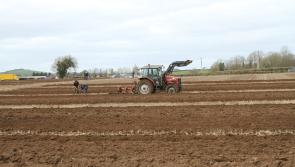 60th anniversary celebrations for North Tipperary Ploughing  Championships