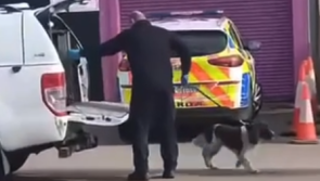 Man arrested as garda&iacute; raid shop in the Midlands as part of drugs investigation