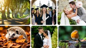 Got a local wedding picture, landscape shot? Send it to the Offaly Live Camera Club! 