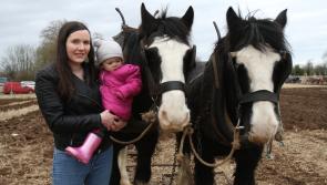 Big turn out for North Tipperary Ploughing Championships in Cloughjordan