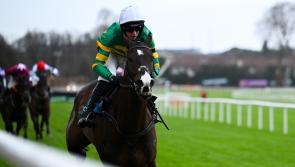 Cheltenham Tips Day One: Top tips for Day 1 of Cheltenham on Tuesday including 40/1 shot