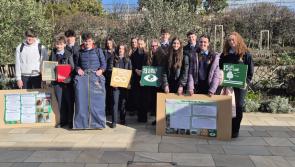 Students at Offaly secondary school showcase their innovation at national awards