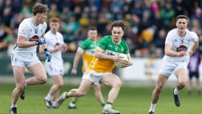 Harte and Kelly savour big win as Offaly management set target on fast start