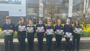 Offaly students at leading school brush up on their spelling skills