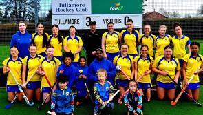 Tullamore Hockey Club repair storm damage