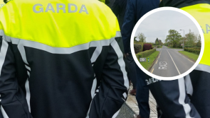 Man and woman hospitalised after horror Offaly crash as garda&iacute; give update