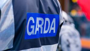 Fine for drunk young man in Offaly found passed out in park in afternoon