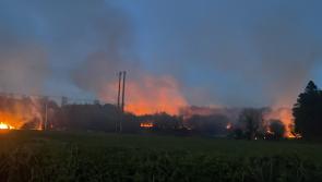 Firefighters tackle dramatic bog fire near Offaly border