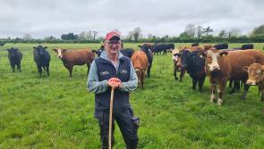 Offaly beef farmer is new Farming for Nature Ambassador