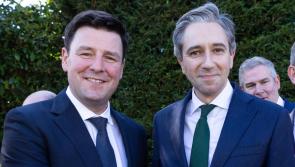 Offaly TD appointed to  high level position within Fine Gael