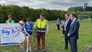 Government Minister joins Tullamore Tidy Towns members to plant fruit trees in local estate