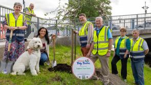 Top social media influencer lends support to work of Tullamore Tidy Towns