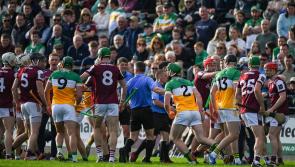 Two changes on Offaly senior hurling team for big Kilkenny test