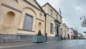 Man who live streamed garda traffic stop in the Midlands banned from driving