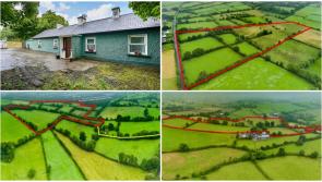 Farm in the Midlands sells for over €500,000 following intense bidding battle