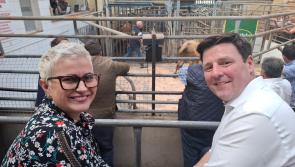 MEP on Offaly visit says EU must rebuild trust with farmers