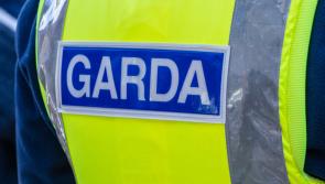 Tullamore gardai investigating after five tonnes of donated Lego stolen