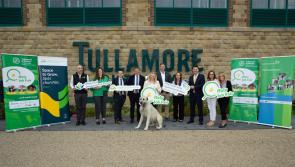  Upcoming Offaly Job Fair expected to attracts hundreds of job seekers