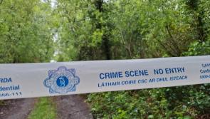 Offaly bogland search in Fiona Pender murder probe continues