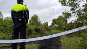 Search operation in Offaly by gardai investigating murder of Fiona Pender concludes