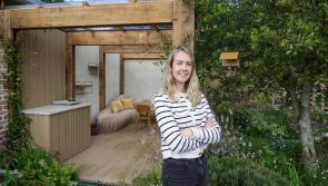 Offaly garden designer wins prestigious Gold Medal at Bord Bia Bloom in Phoenix Park