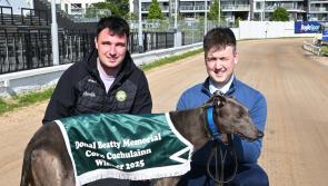 Family of passionate Offaly greyhound man sponsor prestigious Shelbourne Park race