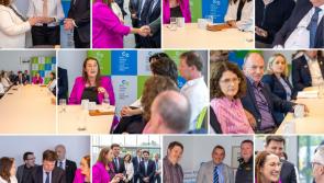 Offaly businesses share their experiences and challenges with Government Minister