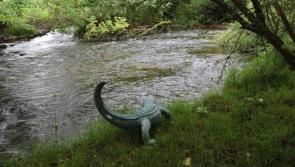 Crocodile spotted on banks of river in the Midlands? 